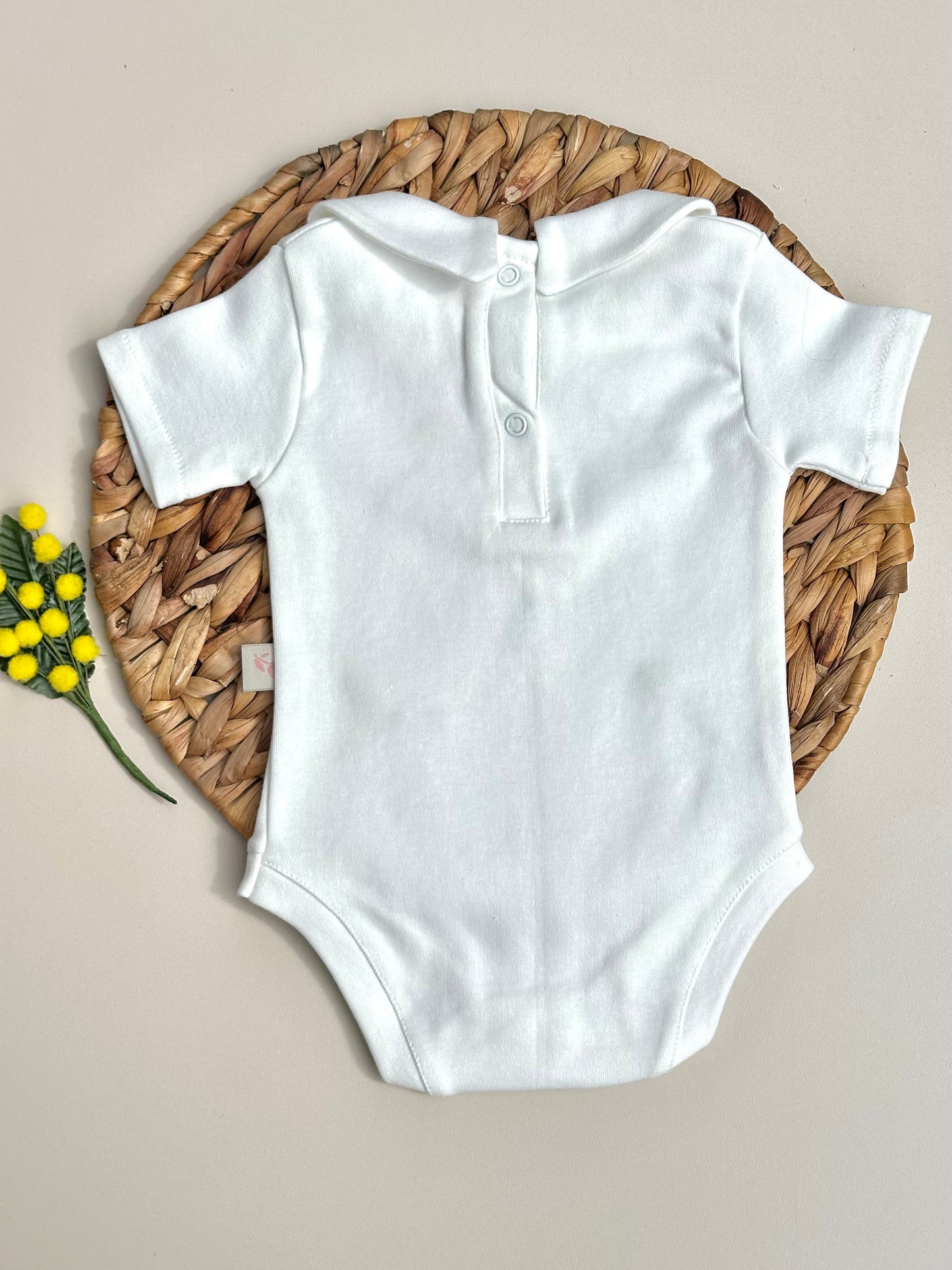 Uçurtma Nakışlı Kısa Kollu Çıtçıtlı Bebek Body